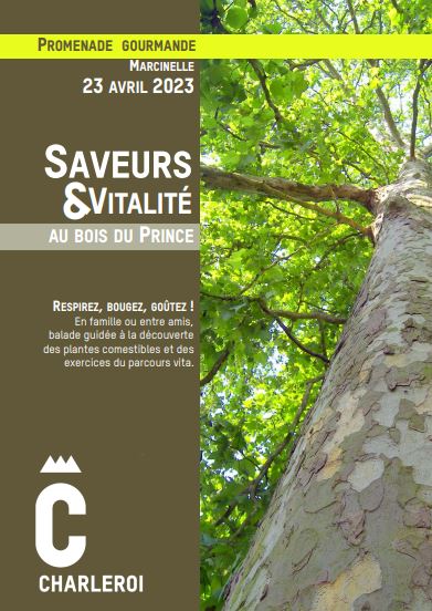 Journée « Saveurs et Vitalité » au Centre de loisirs.